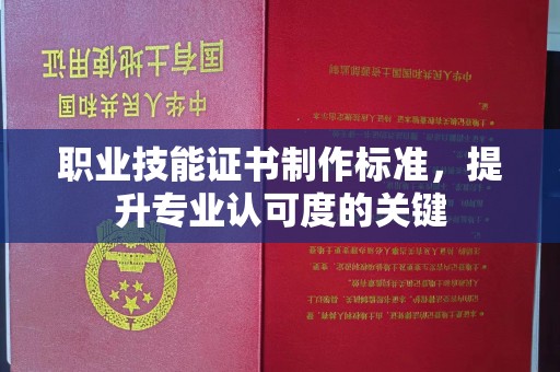 甘德职业技能证书制作标准，提升专业认可度的关键