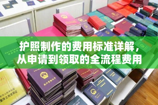 甘德护照制作的费用标准详解，从申请到领取的全流程费用指南