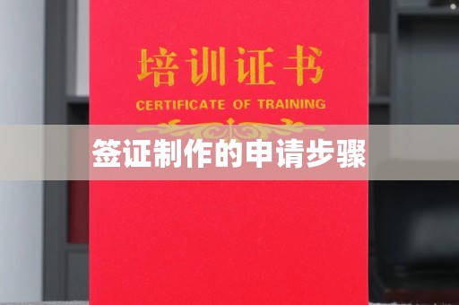 甘德签证制作的申请步骤