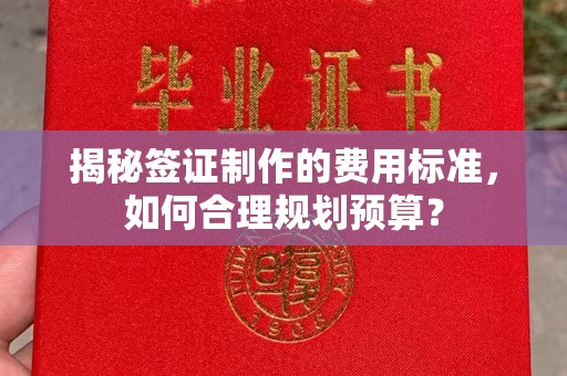 甘德揭秘签证制作的费用标准，如何合理规划预算？