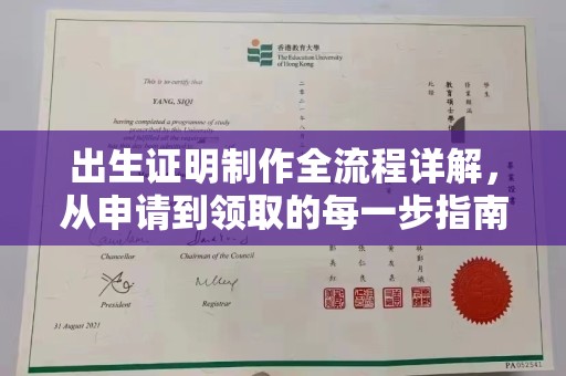 甘德出生证明制作全流程详解，从申请到领取的每一步指南