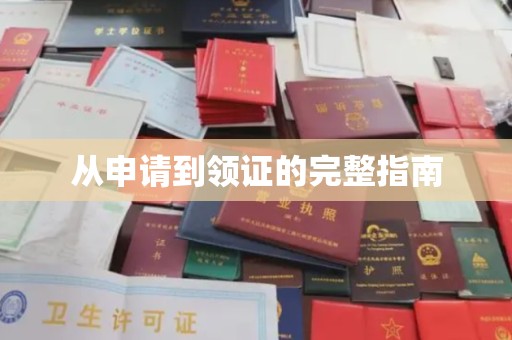 甘德从申请到领证的完整指南
