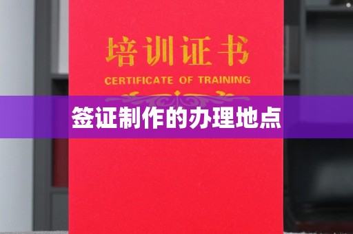 甘德签证制作的办理地点