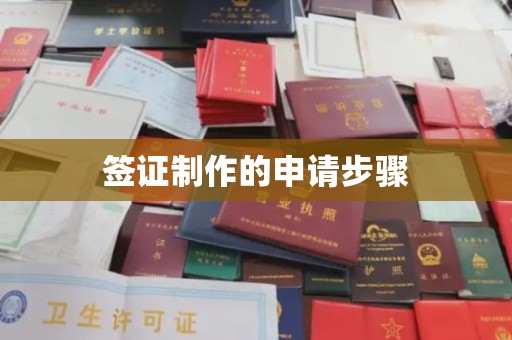 甘德签证制作的申请步骤