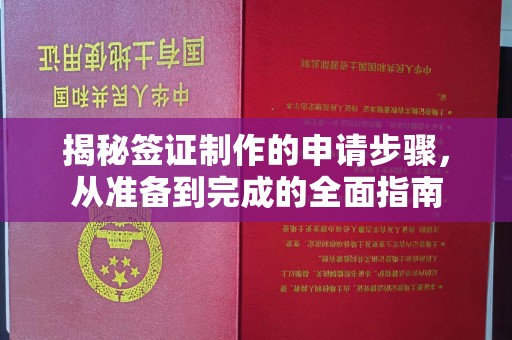 甘德揭秘签证制作的申请步骤，从准备到完成的全面指南