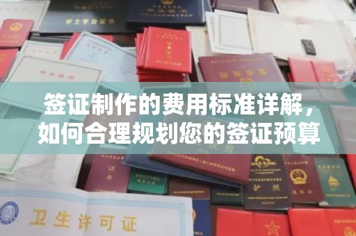 甘德签证制作的费用标准详解，如何合理规划您的签证预算