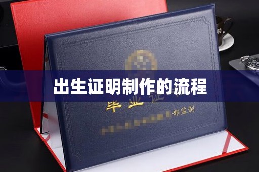 甘德出生证明制作的流程